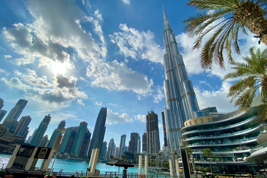 Consultants for VAT in UAE